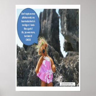 Poster de Férias do Urso Ker'Dunkedunk