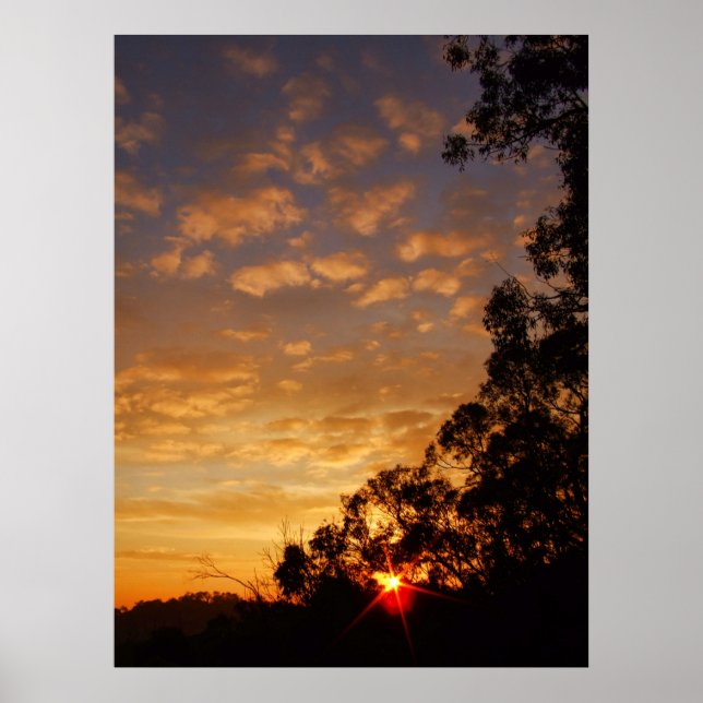 poster de ferntree gully sunset (Frente)