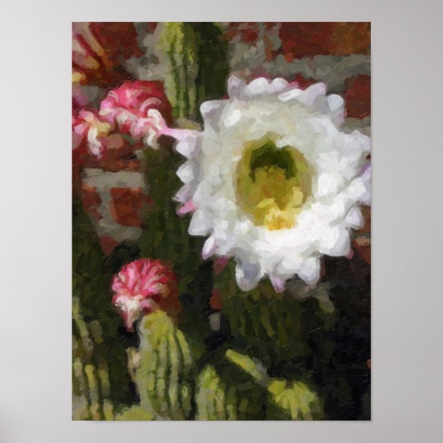 Poster de Flor Cactus (Frente)