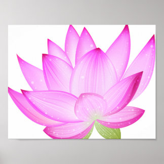 Poster de Flor de Lotus