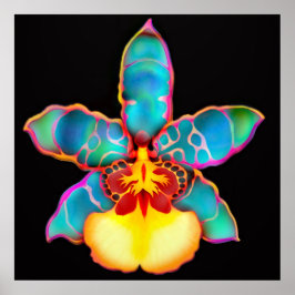 Poster de Flor Orquídea Fantasia Colorida