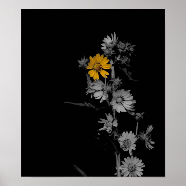 Poster de Flor Preto e Branco com Coloração Parcia (Frente)