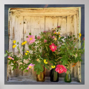 poster de flor selvagem