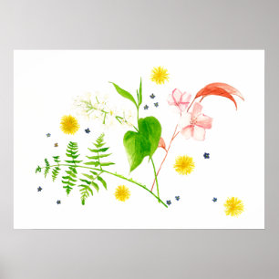 poster de flor selvagem