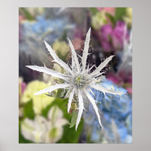 Poster de Flor Único