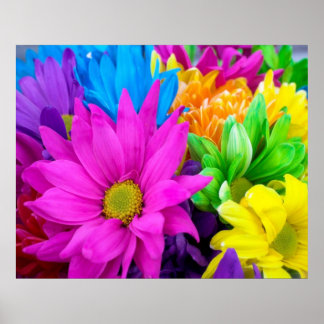 Poster de Flores Coloridas