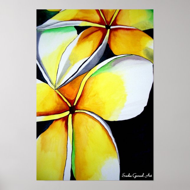 Poster de flores de Frangipani por Sacha Grossel A (Frente)