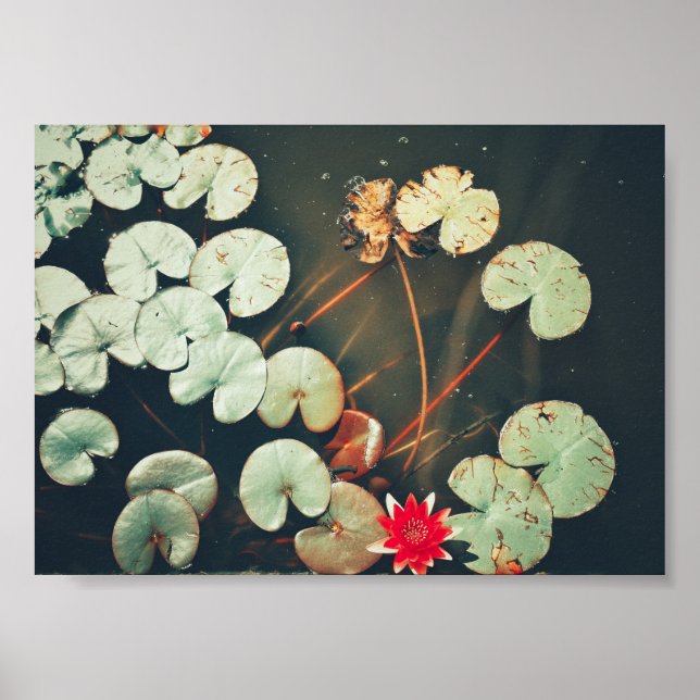 Poster de Flores de Linho de Água Verde Estilizada (Frente)