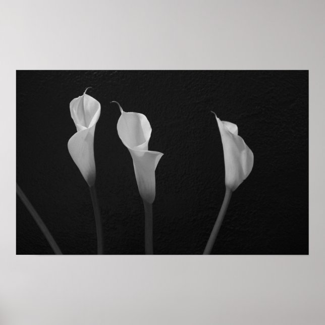 Poster de Flores Pretas e Brancas (Frente)