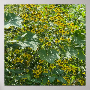 Poster de flores silvestres amarelas