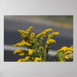 Poster de Flores Silvestres Amarelas com Borboleta