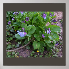 Poster de flores silvestres roxas