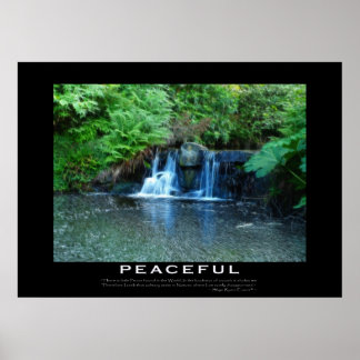 Poster de Fluxo de Florestas Motivacionais PACÍFIC