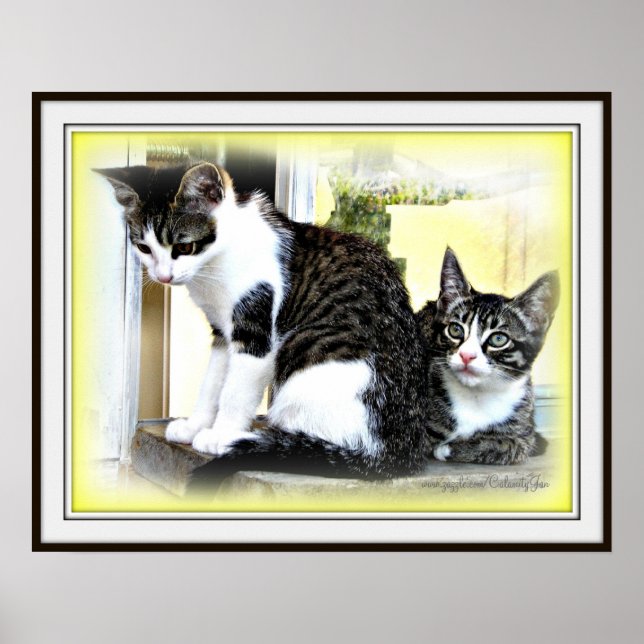 Poster de fofinho (Frente)