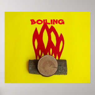POSTER DE FOGO