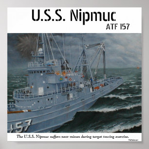 Poster de Fogo Amigável