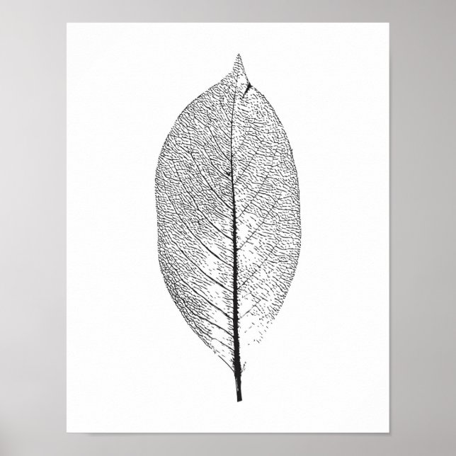 Poster de folhas pretas e brancas (Frente)