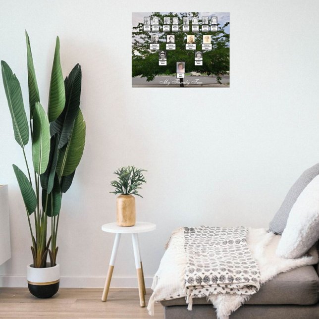 Poster de Foto da Árvore da Família Green Summer (Criador carregado)