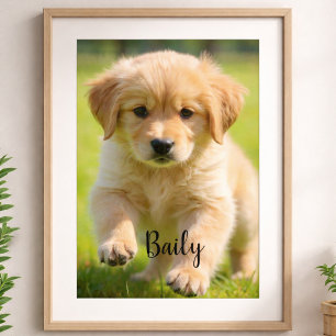 Pôster de Foto de Cachorro Personalizado com Nome 