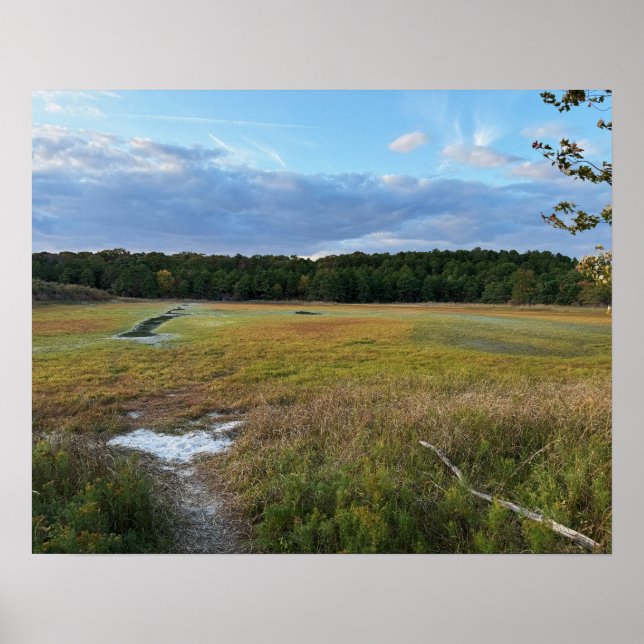 Poster de Foto de Campo de Outono (Frente)
