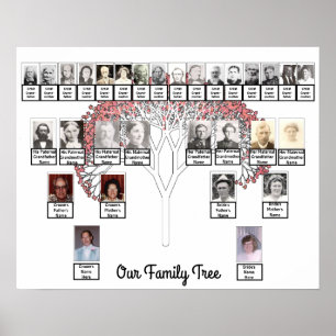 Poster de Foto de Duas Famílias de Árvore Fracta