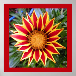 Pôster de Foto de Flor Amarela e Vermelha Colorida