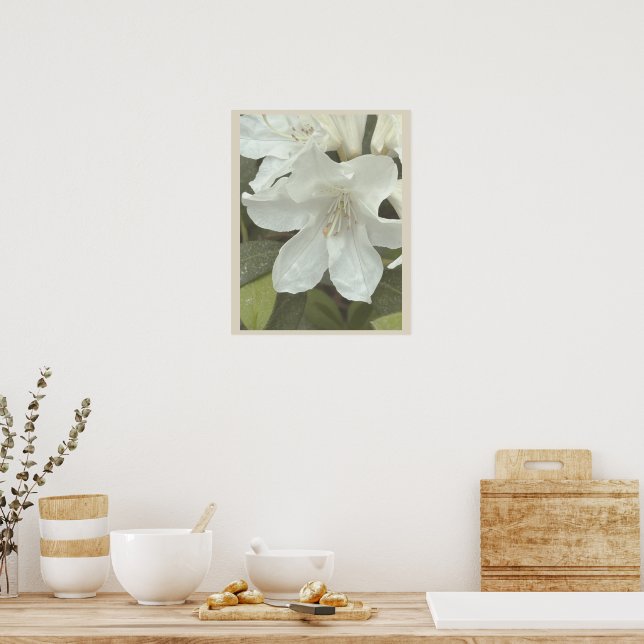 Pôster de Foto de Flores Brancas (Cozinha)