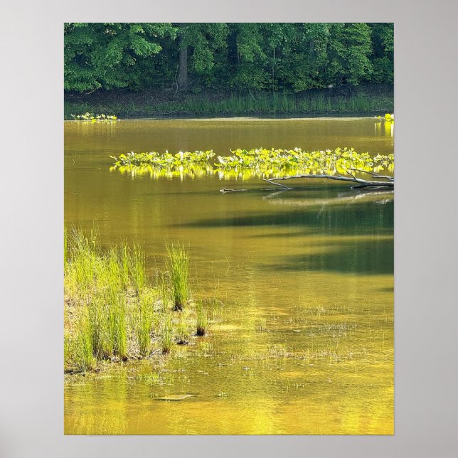 Pôster de Foto de Paisagem Aquática de Lagoa (Frente)