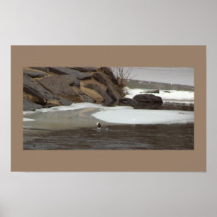 Pôster de Foto de Paisagem Aquática Nevada