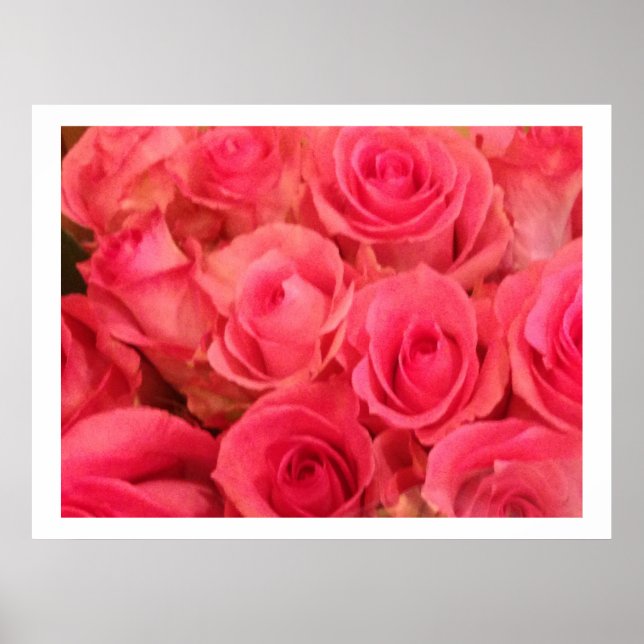 Poster de Foto de Rosas Rosas (Frente)