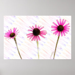 Poster de Foto do Coneflower Roxo