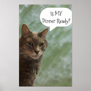 Poster de Foto Gato Engraçado