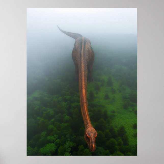 Poster de Fotografia Aérea na Floresta Primeval (Frente)