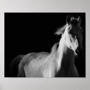poster de fotografia de arte