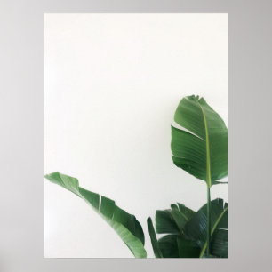 Poster de Fotografia de Planta Tropical de Paraís