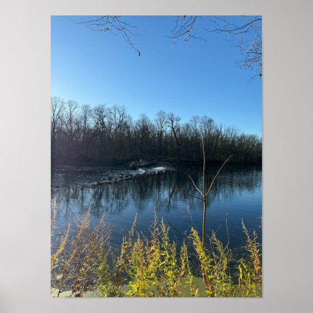 Poster de Fotografia de Reflexões em Árvore (Frente)