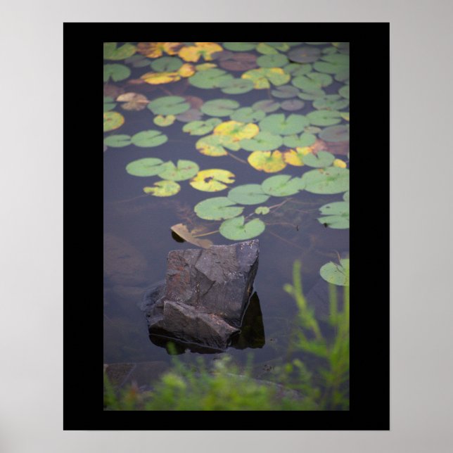 Poster de Fotografia de Waterlily (Frente)