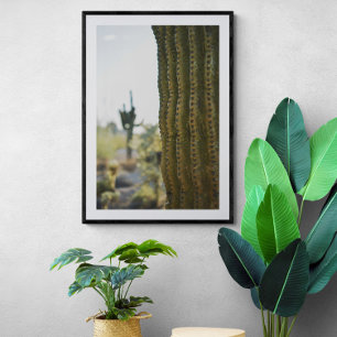 Poster de Fotografia do Desert Cactus