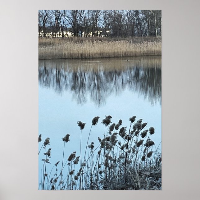 Poster de Fotografia do Waterscape (Frente)