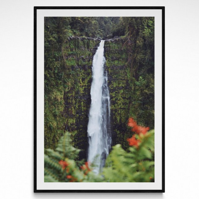 Poster de Fotografia em Cascata da Floresta Tropic (Criador carregado)