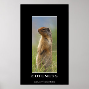 Poster de Fotografia Motivacional Marmot Wildlife