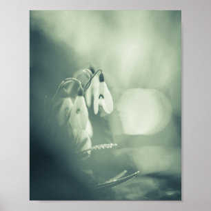 Poster de Fotografia Natural do Snowdrops
