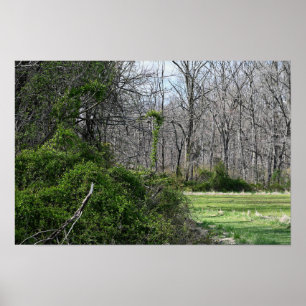 Poster de Fotografia Paisagem