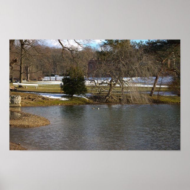 Poster de Fotografia Pond (Frente)