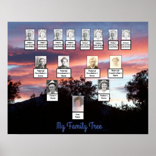 Poster de Fotos da Árvore da Família de Sunset P