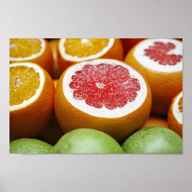 Poster de Fruta de Citros Laranja Sanguíneo (Frente)