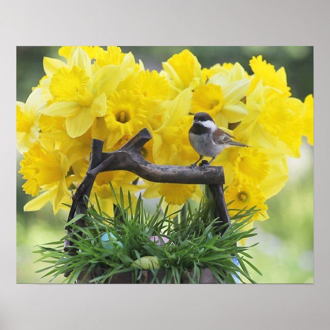 Poster de galinha do Springtime (Frente)