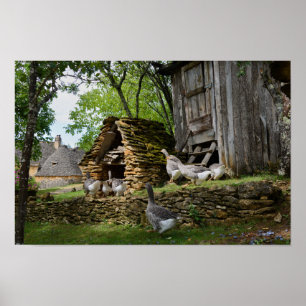 Poster de ganso de foie gras tradicional