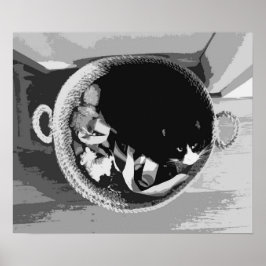 Poster de Gato de Cesta