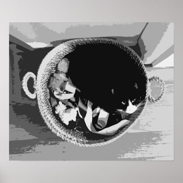 Poster de Gato de Cesta (Frente)